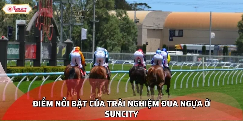 Điểm nổi bật của trải nghiệm đua ngựa ở Suncity